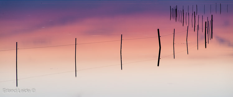 Kväll vid Öresund