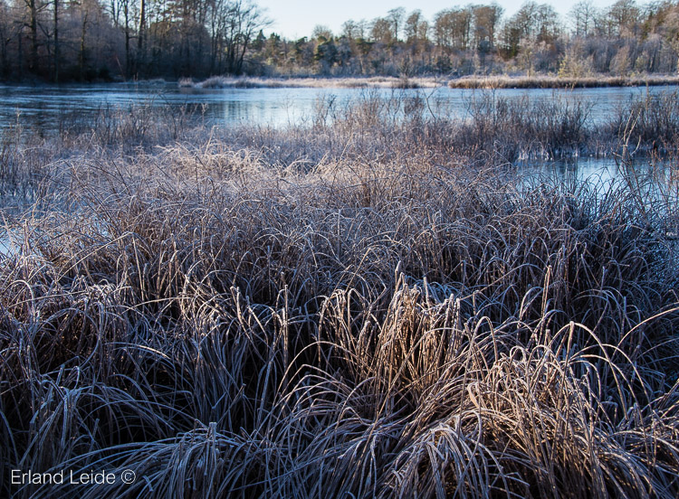 Perstorp